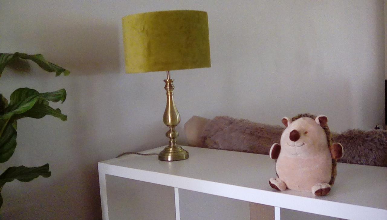 Forest Nook Villa Lydney Bagian luar foto